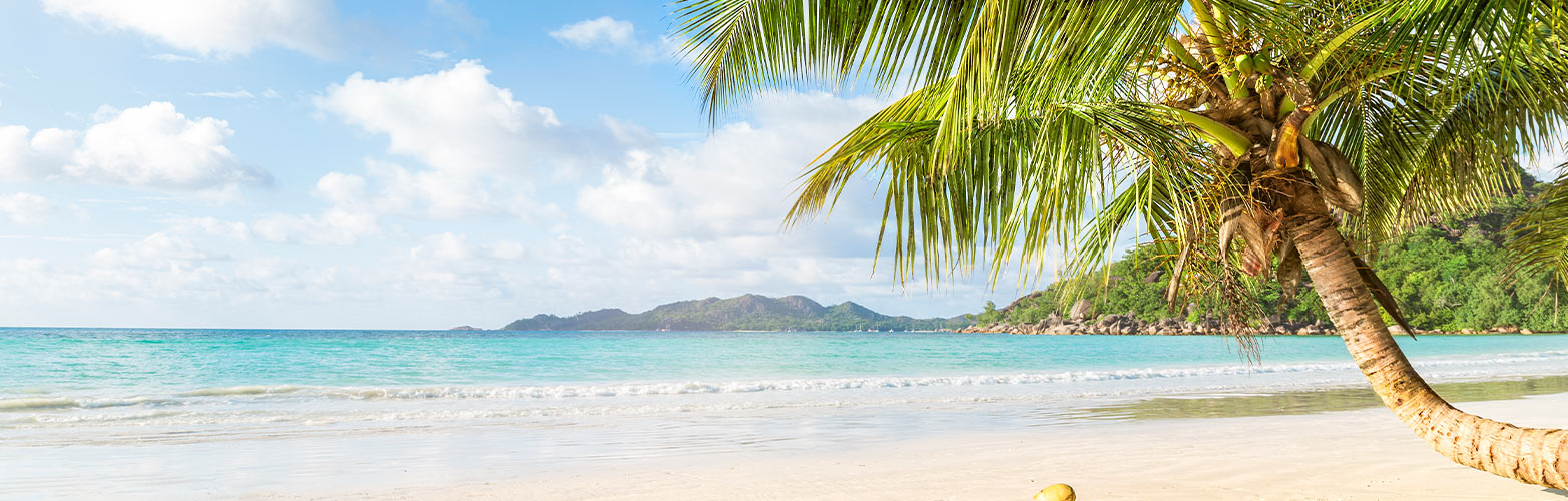 hoteles en puerto vallarta